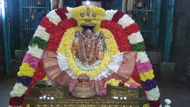 Thiruvahindrapuram Sri Hemambhujavalli Thayar Thiruadhyayana Utsavam10