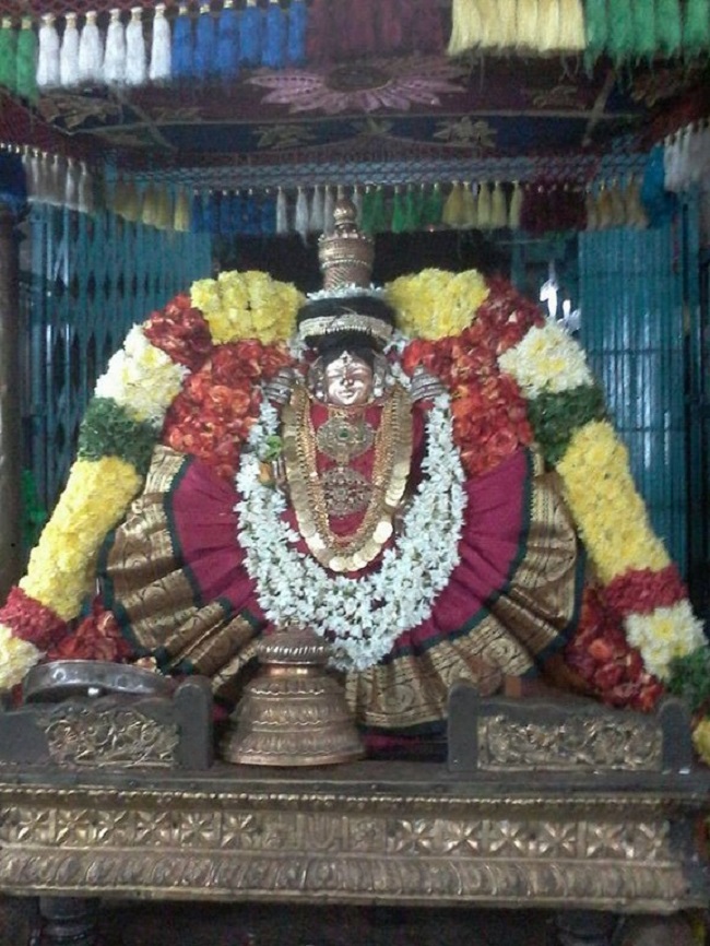 Thiruvahindrapuram Sri Hemambhujavalli Thayar Thiruadhyayana Utsavam11