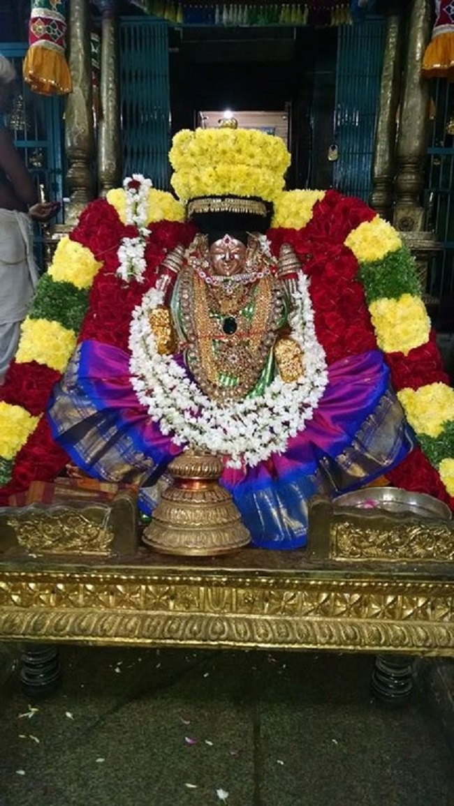 Thiruvahindrapuram Sri Hemambhujavalli Thayar Thiruadhyayana Utsavam13
