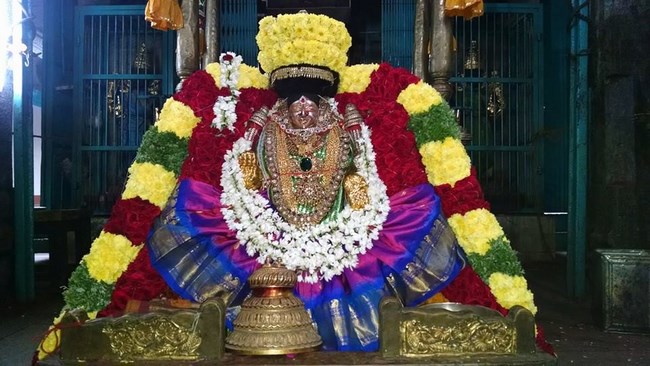 Thiruvahindrapuram Sri Hemambhujavalli Thayar Thiruadhyayana Utsavam15