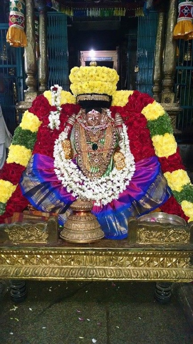 Thiruvahindrapuram Sri Hemambhujavalli Thayar Thiruadhyayana Utsavam17