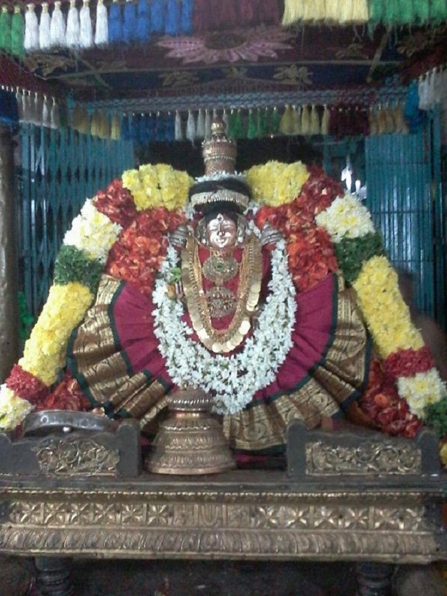 Thiruvahindrapuram Sri Hemambhujavalli Thayar Thiruadhyayana Utsavam18