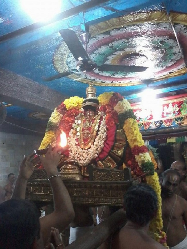 Thiruvahindrapuram Sri Hemambhujavalli Thayar Thiruadhyayana Utsavam21