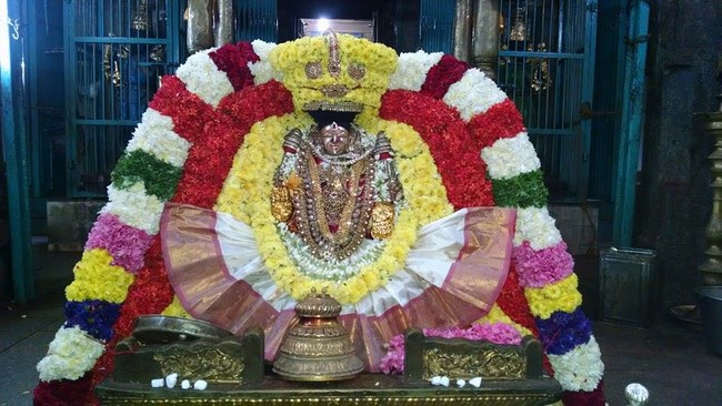Thiruvahindrapuram Sri Hemambhujavalli Thayar Thiruadhyayana Utsavam3