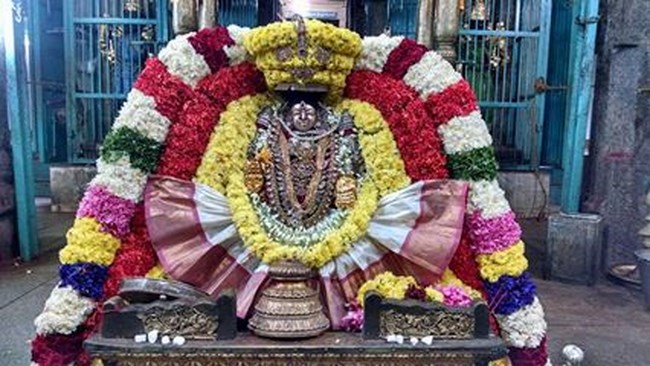 Thiruvahindrapuram Sri Hemambhujavalli Thayar Thiruadhyayana Utsavam4