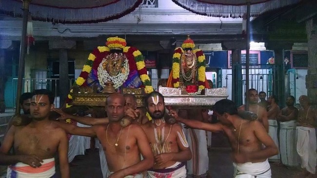 Thiruvahindrapuram Sri Hemambhujavalli Thayar Thiruadhyayana Utsavam8