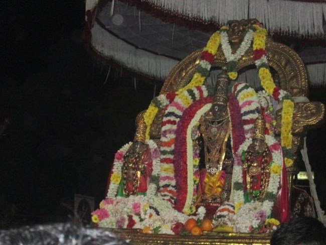 Thiruvallikeni Sri Parthasarathy Perumal Temple Irappathu Utsavam1