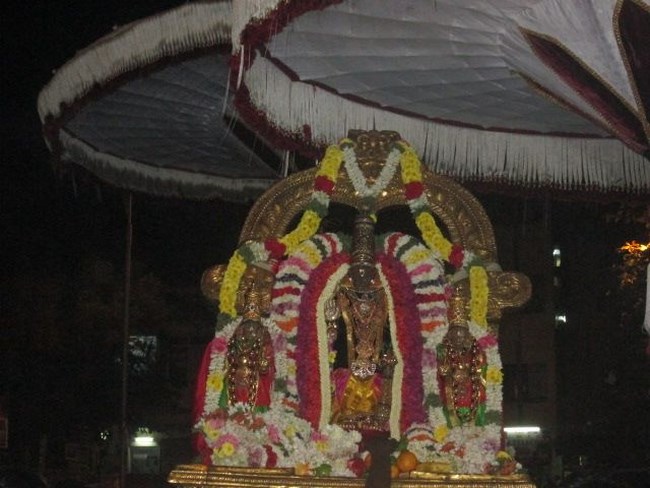 Thiruvallikeni Sri Parthasarathy Perumal Temple Irappathu Utsavam7