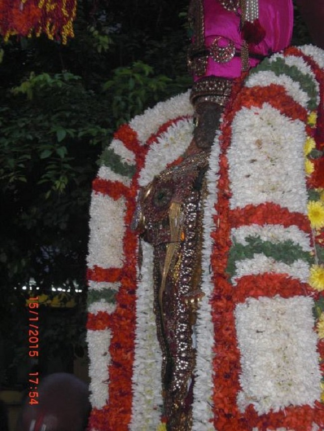 Thiruvallikeni Sri Parthasarathy Perumal Temple  Makara sankaranthi Utsavam11