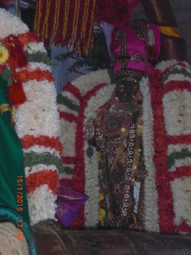 Thiruvallikeni Sri Parthasarathy Perumal Temple  Makara sankaranthi Utsavam2