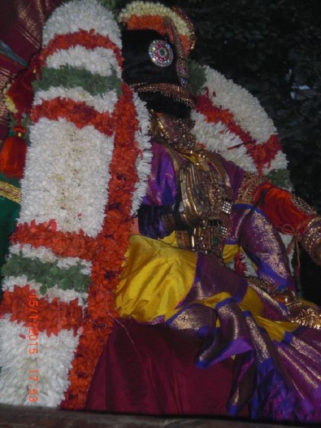 Thiruvallikeni Sri Parthasarathy Perumal Temple  Makara sankaranthi Utsavam3