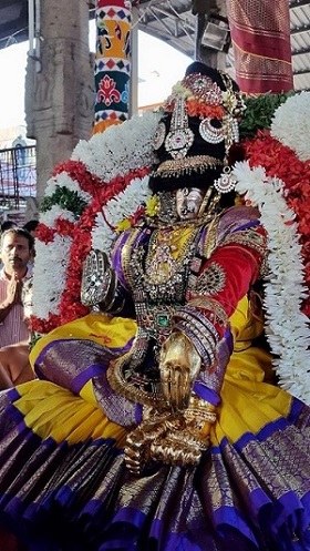 Thiruvallikeni Sri Parthasarathy Perumal Temple  Makara sankaranthi Utsavam5