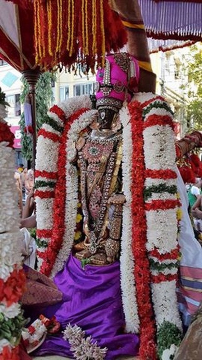 Thiruvallikeni Sri Parthasarathy Perumal Temple  Makara sankaranthi Utsavam8