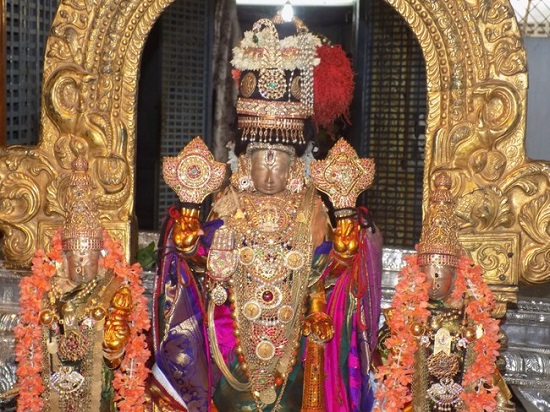 Thiruvallur Sri Veeraraghava Perumal Temple Jaya Varusha Thai Brahmotsava Patrikai10