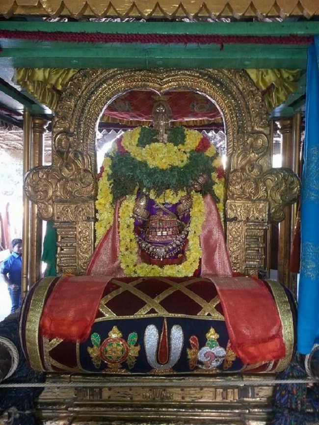 Thiruvallur Sri Veeraraghava Perumal Temple Jaya Varusha Thai Brahmotsavam Commences15