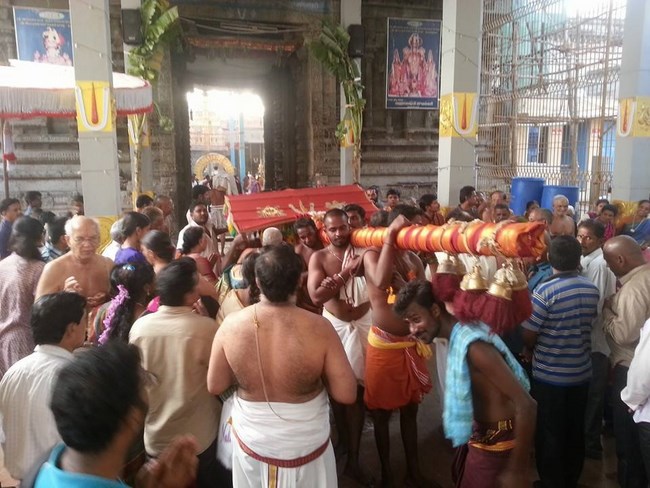 Thiruvallur Sri Veeraraghava Perumal Temple Kanu Parivettai Purappadu11