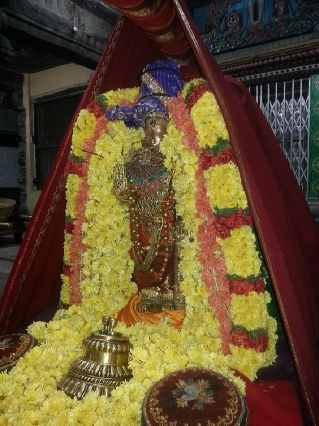 Thiruvallur Sri Veeraraghava Perumal Temple Kanu Parivettai Purappadu13