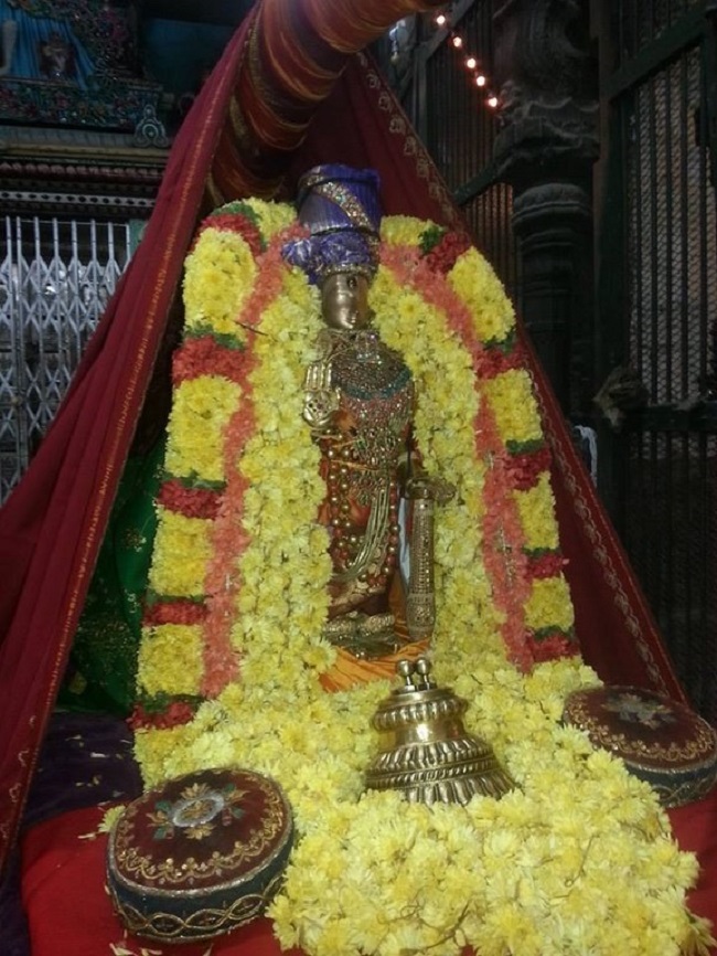 Thiruvallur Sri Veeraraghava Perumal Temple Kanu Parivettai Purappadu17