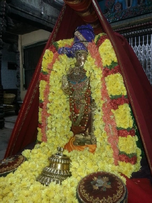 Thiruvallur Sri Veeraraghava Perumal Temple Kanu Parivettai Purappadu22