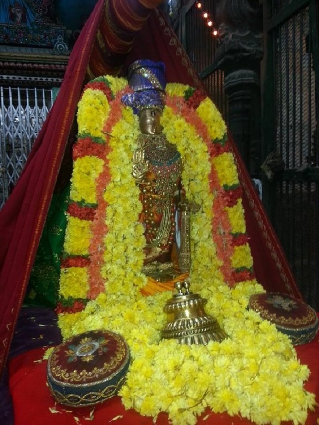 Thiruvallur Sri Veeraraghava Perumal Temple Kanu Parivettai Purappadu6