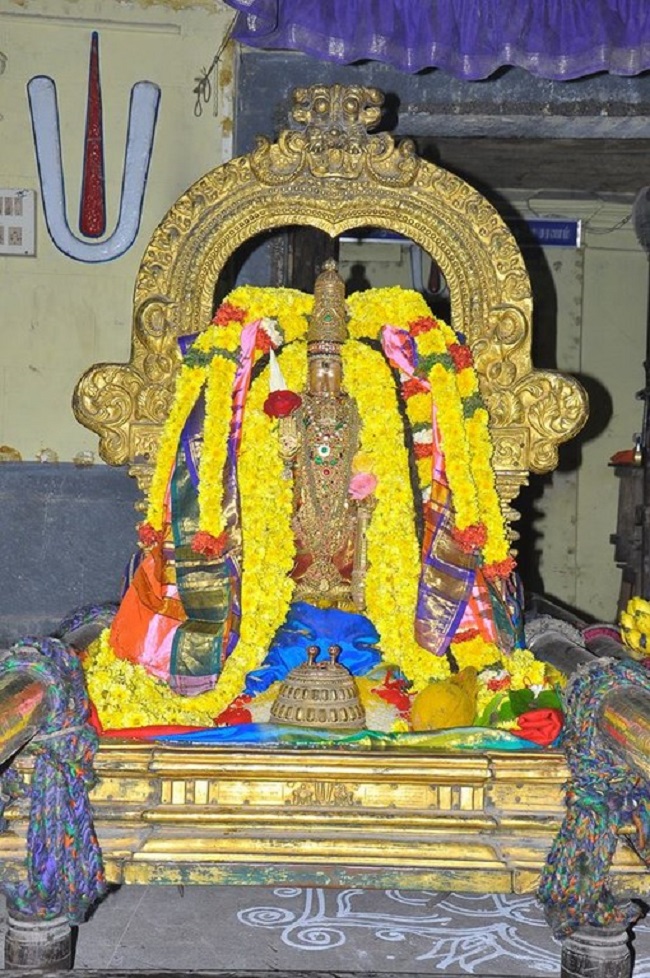 Thiruvallur Sri Veeraraghava Perumal Temple Sri Andal Thirukalyana Utsavam12
