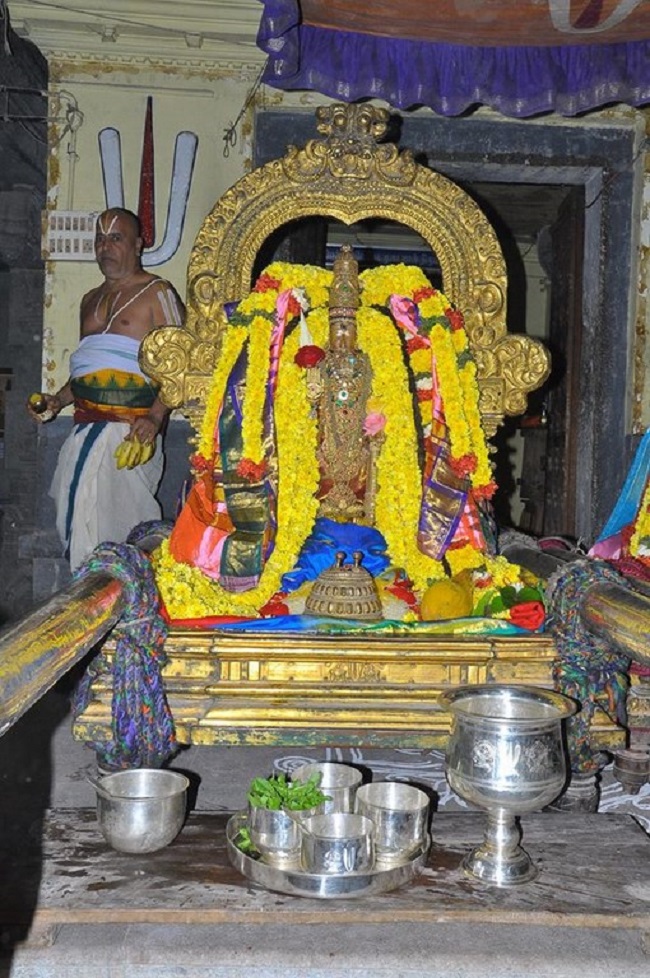 Thiruvallur Sri Veeraraghava Perumal Temple Sri Andal Thirukalyana Utsavam8