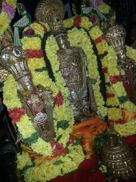 Thiruvallur Sri Veeraraghava Perumal Temple Vaikunda Ekadasi Purappadu13