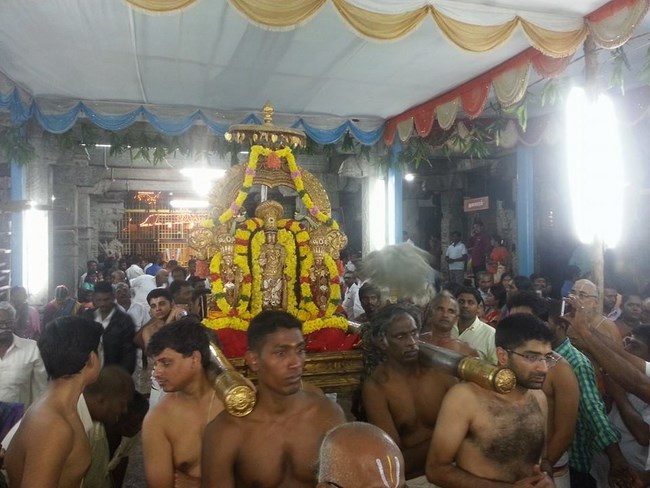 Thiruvallur Sri Veeraraghava Perumal Temple Vaikunda Ekadasi Purappadu20