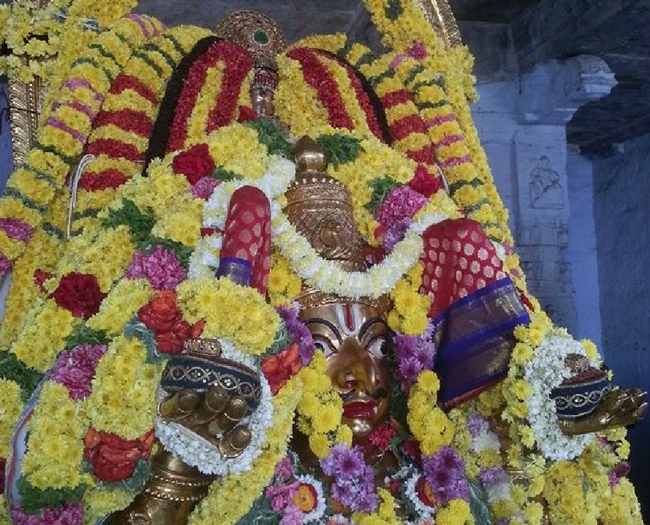 Thiruvallur Veeraraghava perumal Garuda sevai thai brahmotsavam 2015