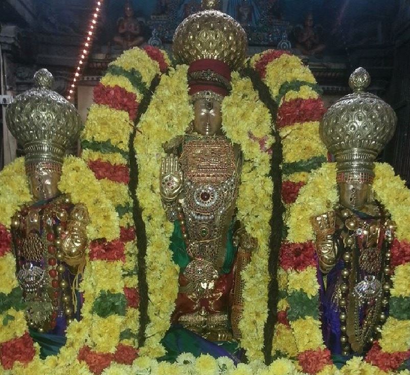 Thiruvallur Veeraraghavan thai brahmotsavam day 9 2015