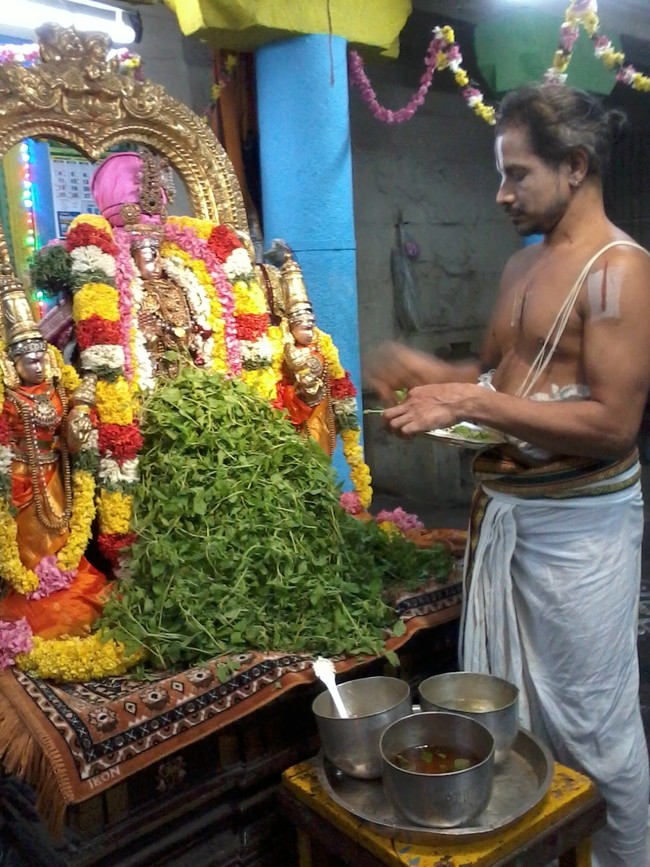 Thiruvekka Sonna Vannam Seitha Perumal  Temple Nammazhwar Thiruvadi Thozhal  2014-03