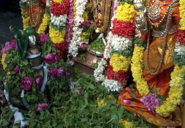 Thiruvekka Sonna Vannam Seitha Perumal  Temple Nammazhwar Thiruvadi Thozhal  2014-07