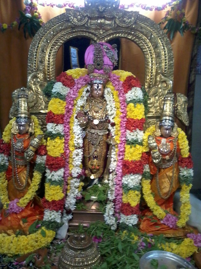 Thiruvekka Sonna Vannam Seitha Perumal  Temple Nammazhwar Thiruvadi Thozhal  2014-15