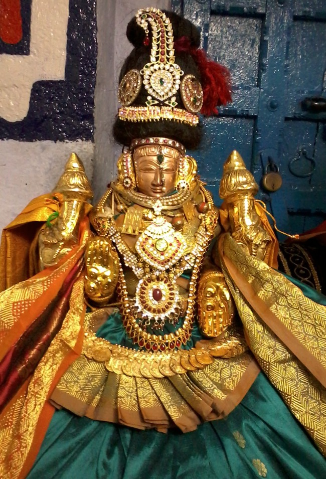 Thiruvelukkai Sri Azhagiya Singa Perumal Temple Ekadasi THirumanjanam-2015-02