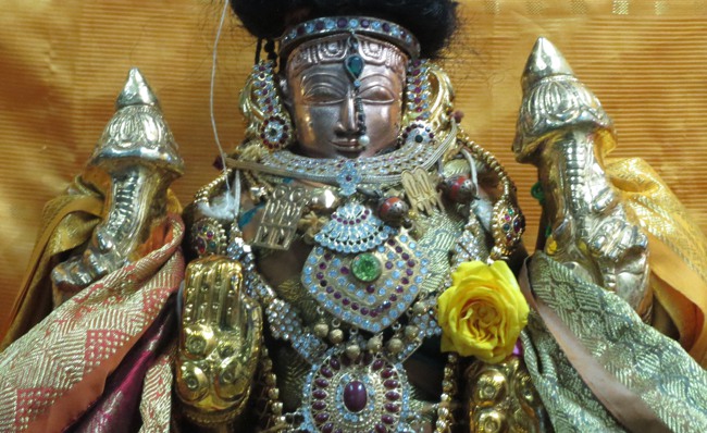 Thiruvelukkai Sri Azhagiya Singa Perumal Temple Ekadasi THirumanjanam-2015-18