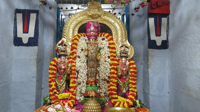 Thiruvelukkai Sri Azhagiyasinga perumal temple Nammazhwar Moksham 2015-01