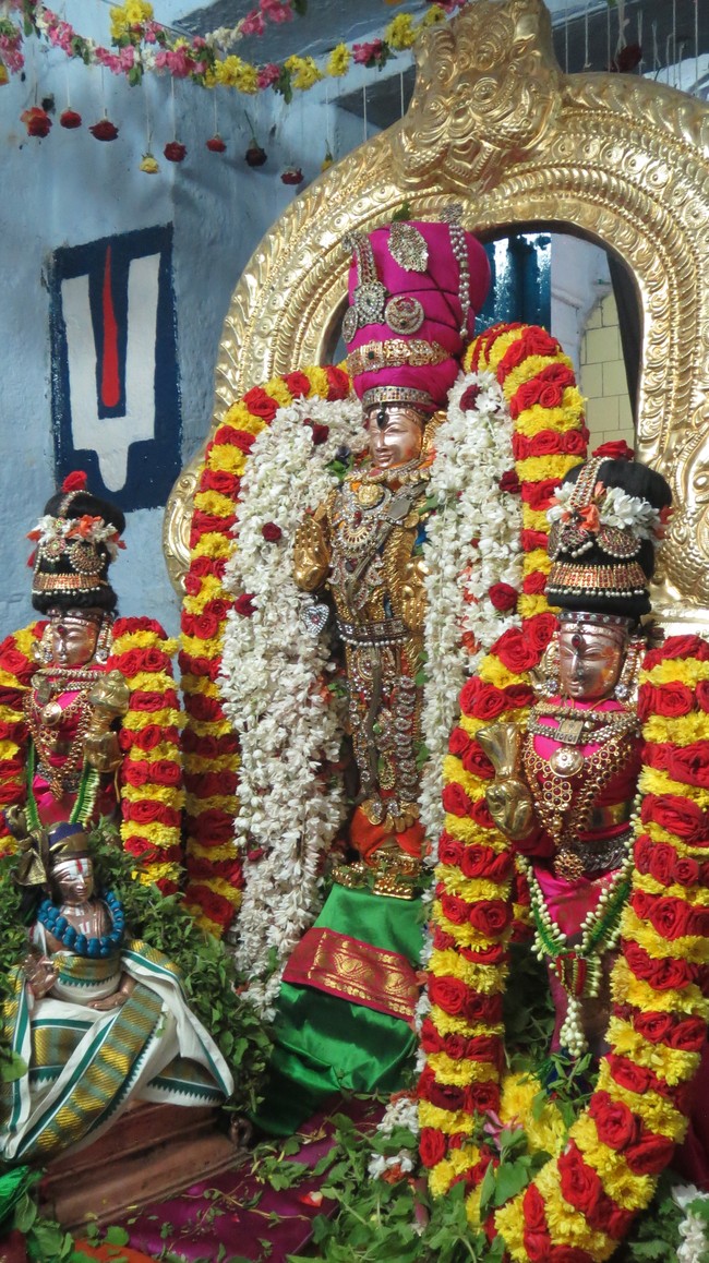 Thiruvelukkai Sri Azhagiyasinga perumal temple Nammazhwar Moksham 2015-19