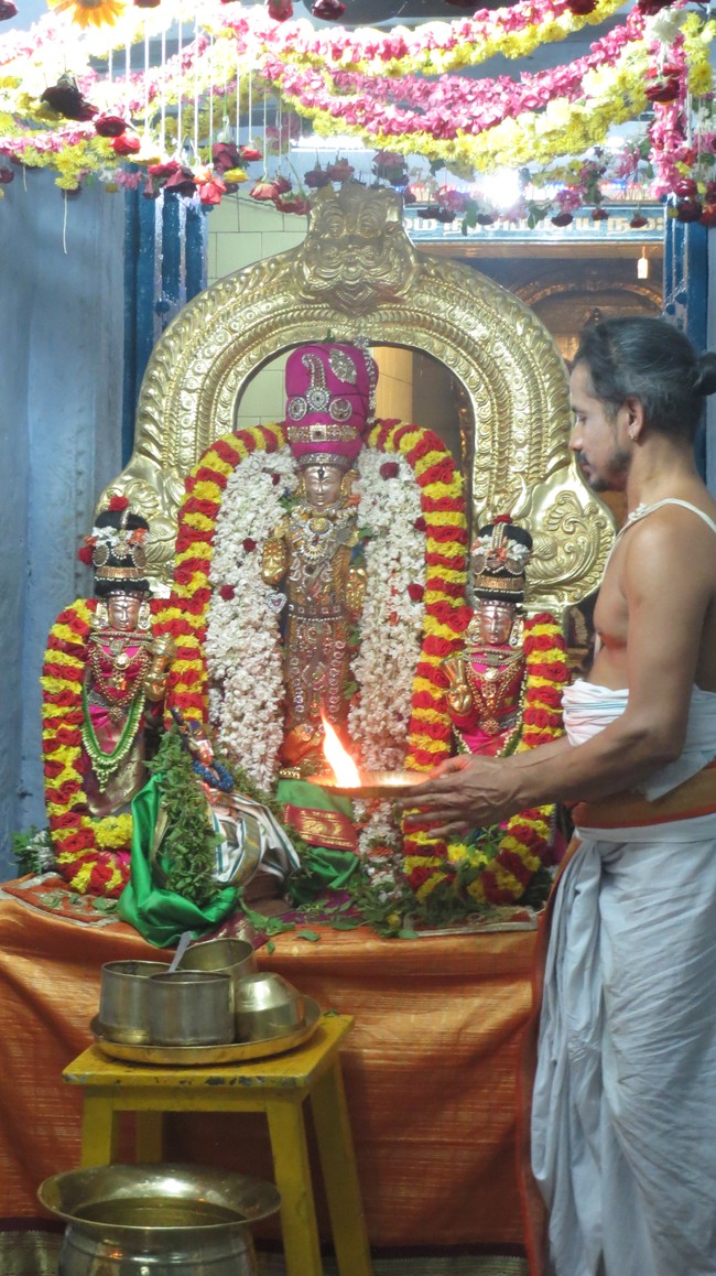 Thiruvelukkai Sri Azhagiyasinga perumal temple Nammazhwar Moksham 2015-20