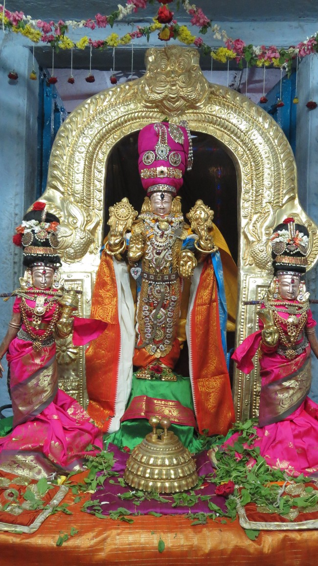 Thiruvelukkai Sri Azhagiyasinga perumal temple Nammazhwar Moksham 2015-41