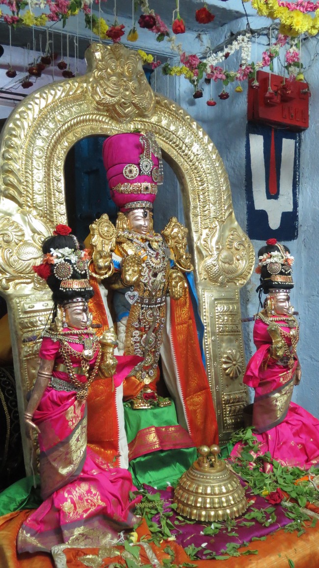 Thiruvelukkai Sri Azhagiyasinga perumal temple Nammazhwar Moksham 2015-43