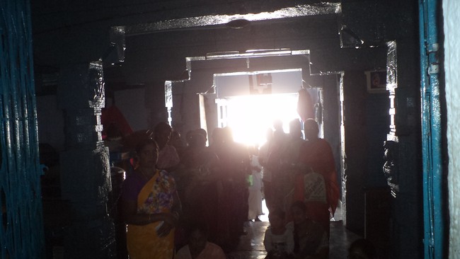 Thiruvelukkai Sri Narasimhar Thirumanjanam on THai Ammavasai  2015-17