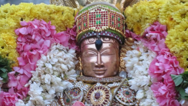 Thiruvelukkaii Sri Azhagiyasinga perumal Temple Vaikunda Ekadasi Utsavam 2014-07
