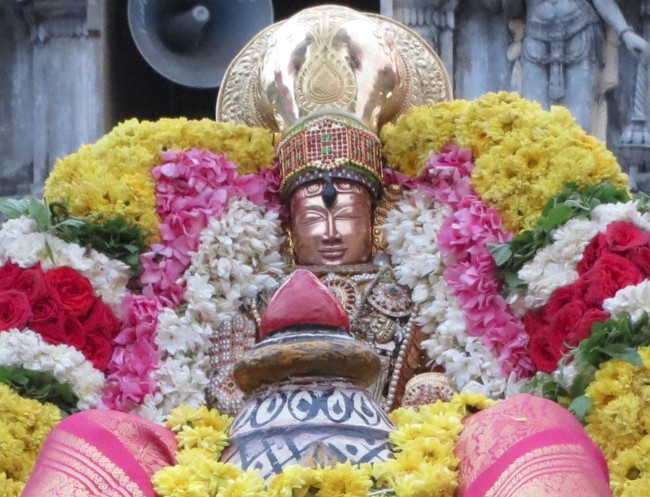 Thiruvelukkaii Sri Azhagiyasinga perumal Temple Vaikunda Ekadasi Utsavam 2014-09