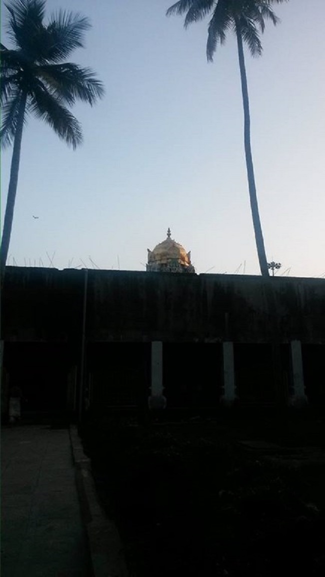 Thiruvinnagar Sri Oppilliappan Venkatachalapathi Temple Irappathu Utsavam4