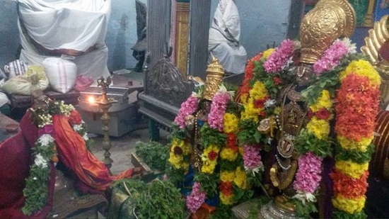 Thiruvinnagar Sri Oppilliappan Venkatachalapathi Temple Thiruadhyayana Utsavam Pagal Pathu Satrumurai1
