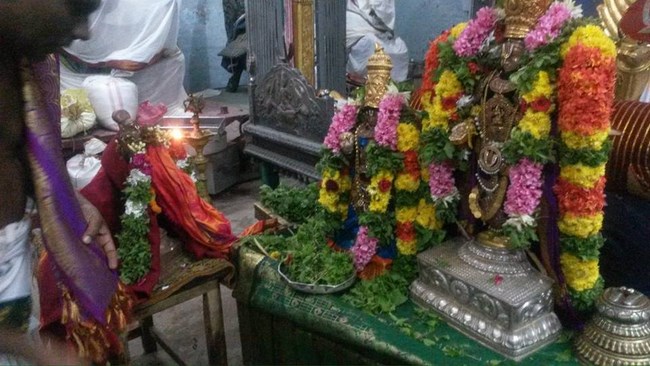 Thiruvinnagar Sri Oppilliappan Venkatachalapathi Temple Thiruadhyayana Utsavam Pagal Pathu Satrumurai3