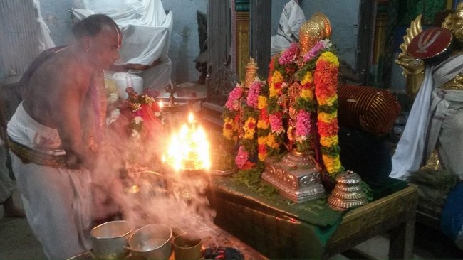 Thiruvinnagar Sri Oppilliappan Venkatachalapathi Temple Thiruadhyayana Utsavam Pagal Pathu Satrumurai5