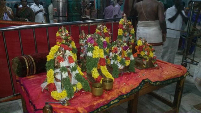 Thiruvinnagar Sri Oppilliappan Venkatachalapathi Temple Thiruadhyayana Utsavam1