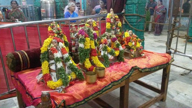 Thiruvinnagar Sri Oppilliappan Venkatachalapathi Temple Thiruadhyayana Utsavam3