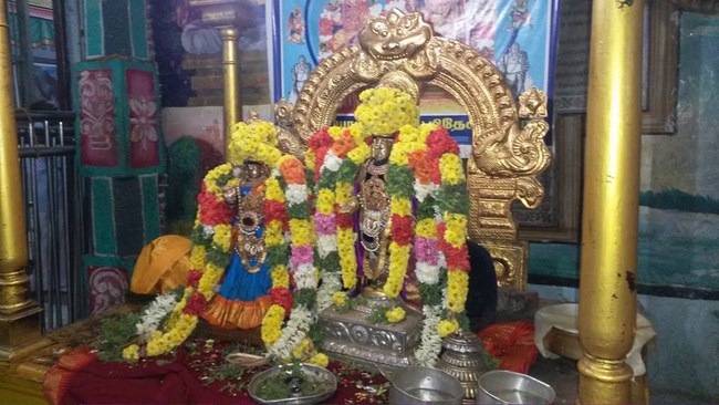 Thiruvinnagar Sri Oppilliappan Venkatachalapathi Temple Thiruadhyayana Utsavam4